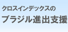 ブラジル進出支援